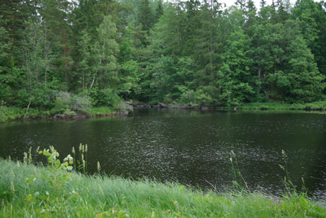 Bräkneån vid Hålabäck Foto Inge Nilsson