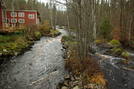 Bräkneån vid Örseryds kvarn Foto Inge Nilsson