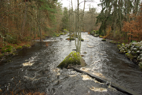 Bräkneån vid Örseryds kvarn Foto Inge Nilsson