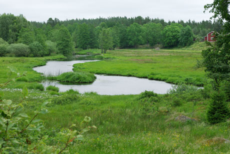 Bräkneån vid Trånhem Foto Inge Nilsson