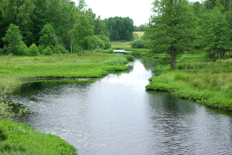 Bräkneån vid Trånhem Foto Inge Nilsson