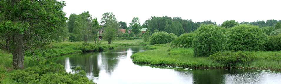 Bräkneån i Örseryd Foto Inge Nilsson