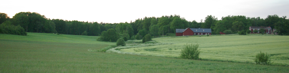 Tararp Foto Inge Nilsson