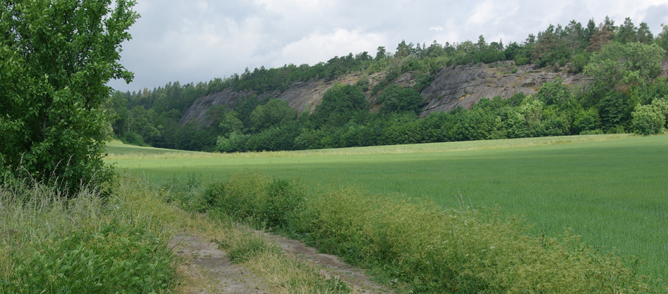 Dalhejaberg Foto Inge Nilsson