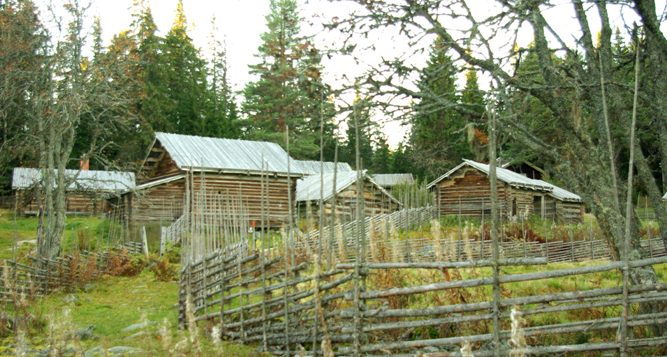 Skräddar-Djurberga fäbod Orsa Foto Inge Nilsson